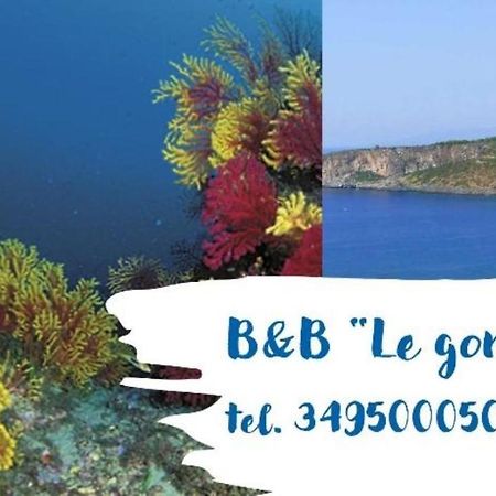 B&B Le Gorgonie Tortora Esterno foto